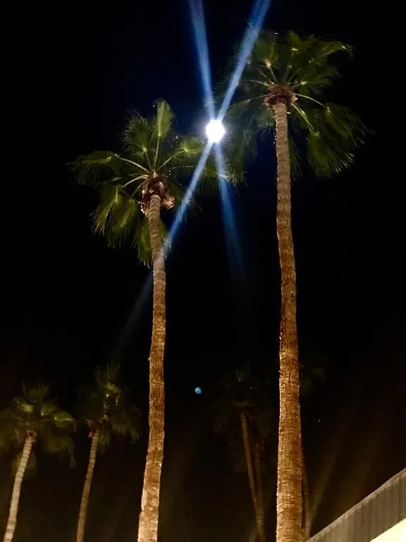 Delos Reyes Palm Springs 2*,  Stany Zjednoczone Ameryki
