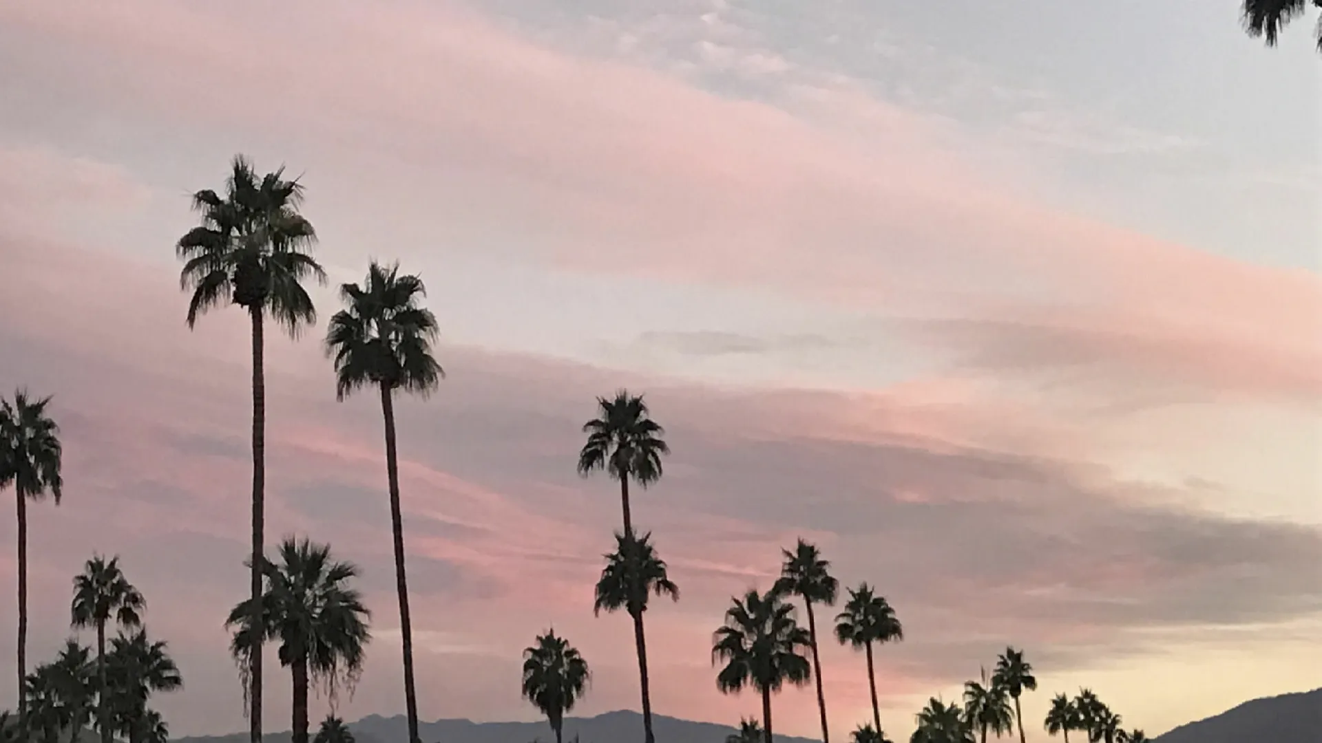 Delos Reyes Palm Springs